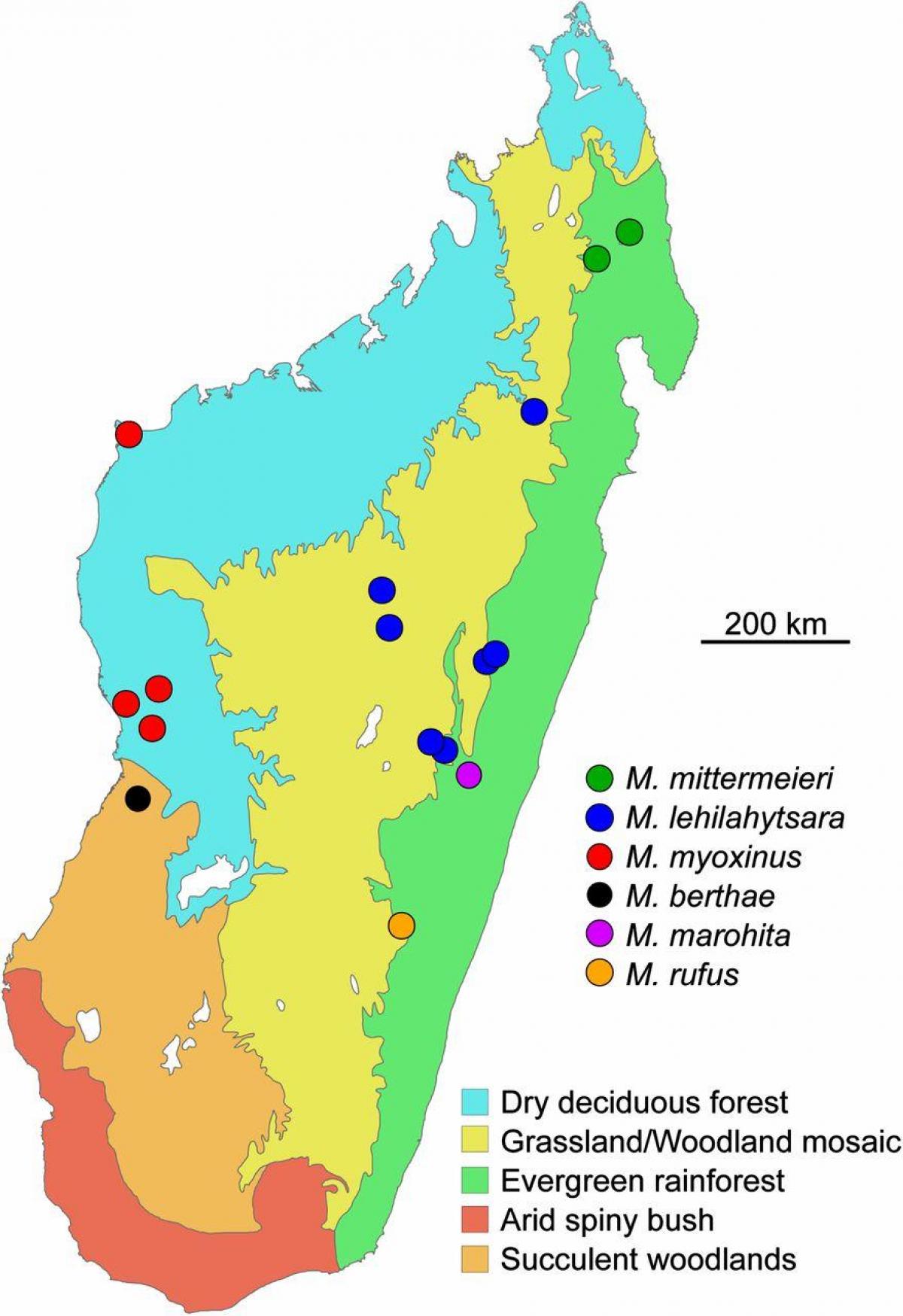 kart over Madagaskar regnskog