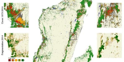 Kart over avskoging Madagaskar